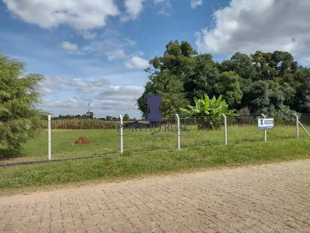 Terreno, 3 hectares - Foto 6