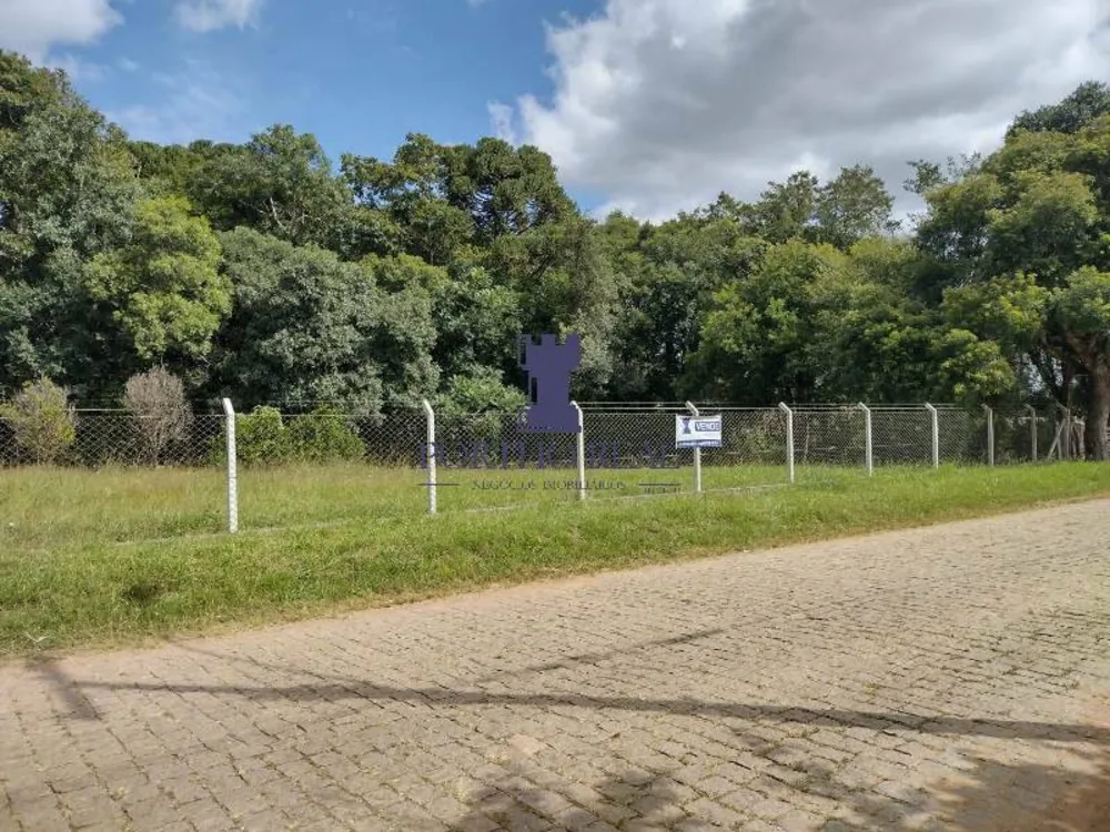 Terreno, 3 hectares - Foto 9