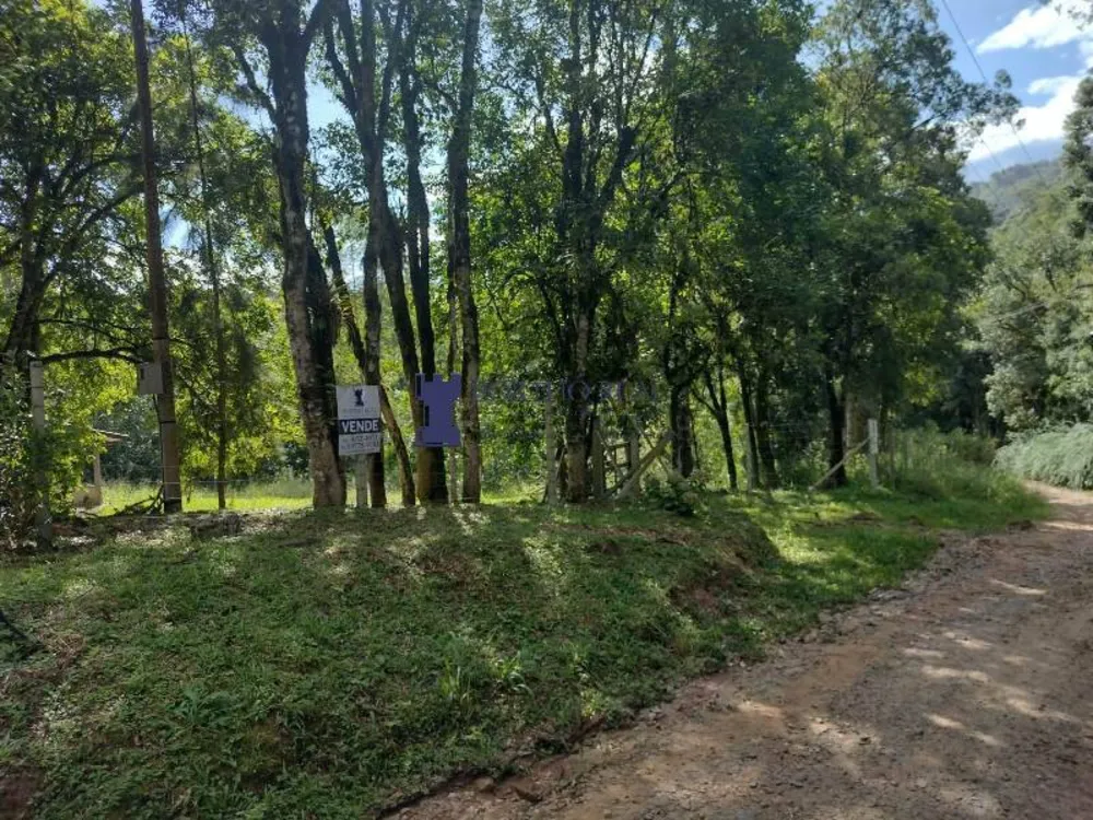 Chácara, 2 quartos, 3375 m² - Foto 3