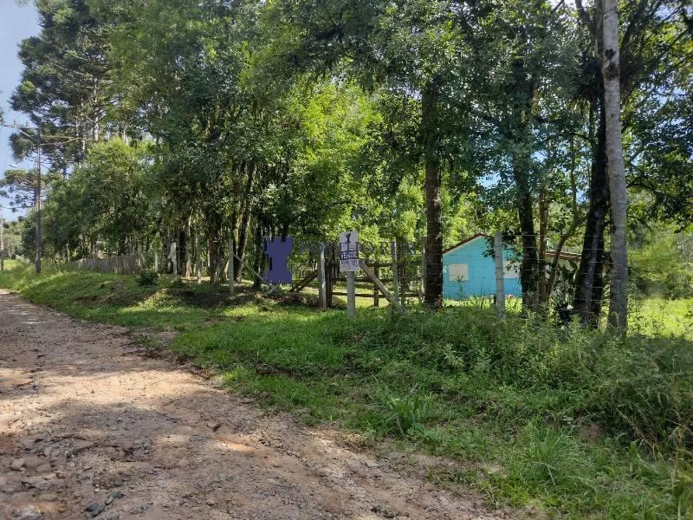 Chácara, 2 quartos, 3375 m² - Foto 15