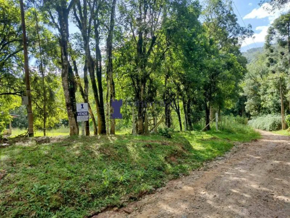Chácara, 2 quartos, 3375 m² - Foto 9