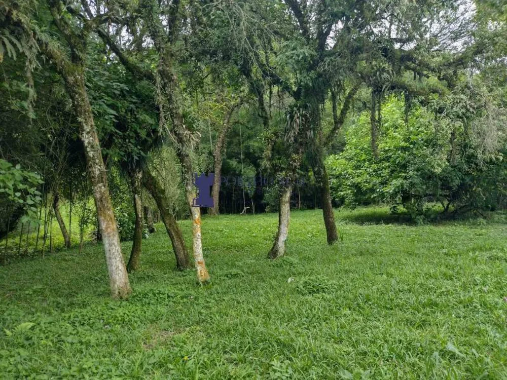 Chácara, 3 quartos - Foto 10