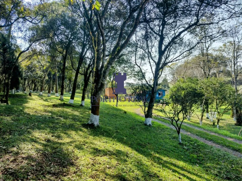 Terreno, 1 hectares - Foto 11