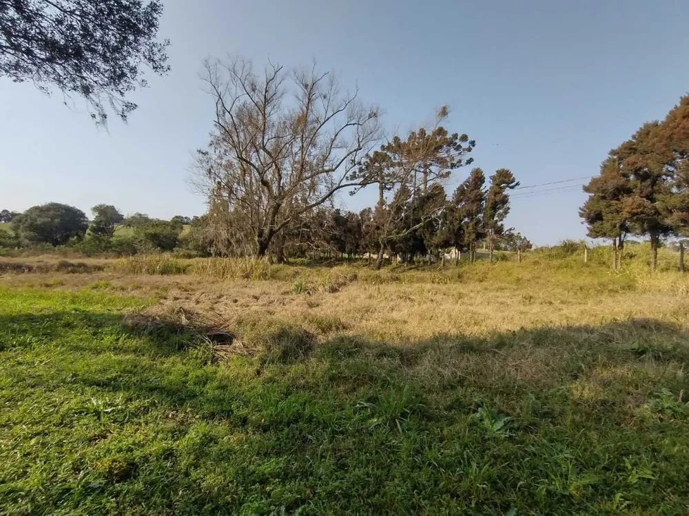 Terreno, 14 hectares - Foto 3