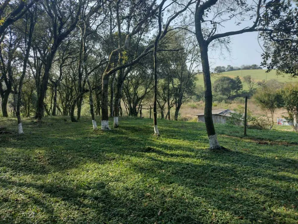Terreno, 14 hectares - Foto 2