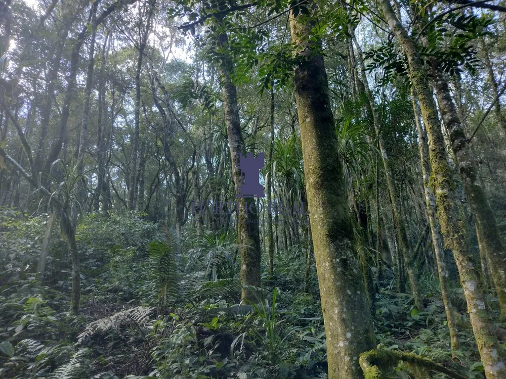 Chácara, 2 quartos, 60 m² - Foto 4