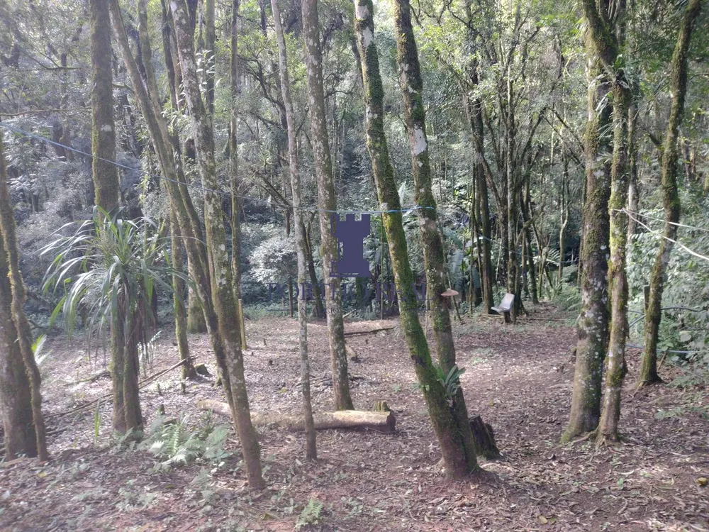 Chácara, 2 quartos, 60 m² - Foto 5