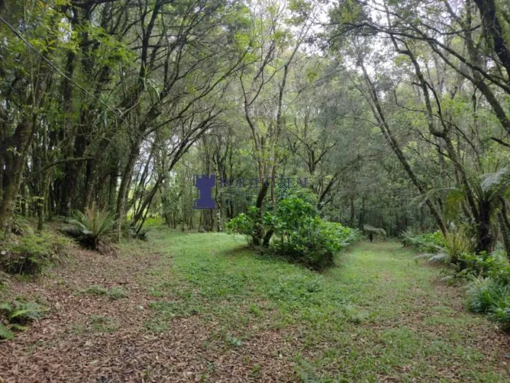 Sítio, 2 quartos - Foto 1