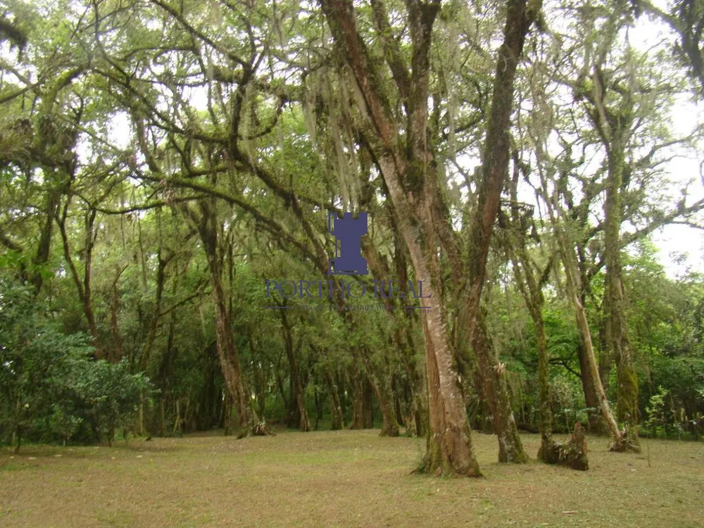 Terreno - Foto 11
