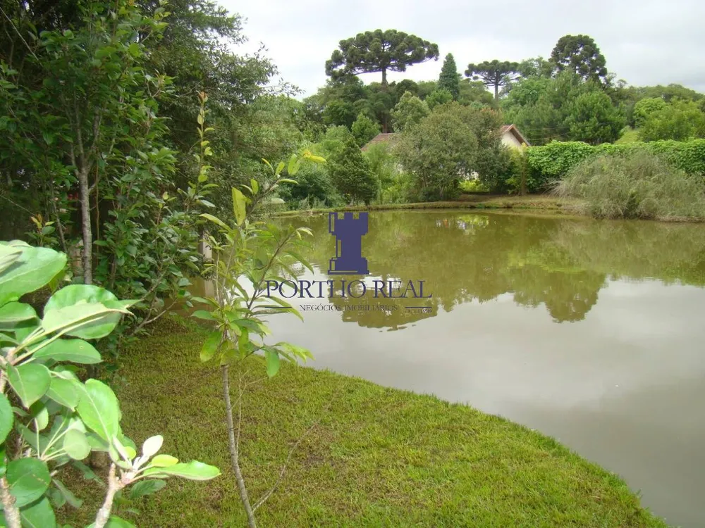 Terreno - Foto 2