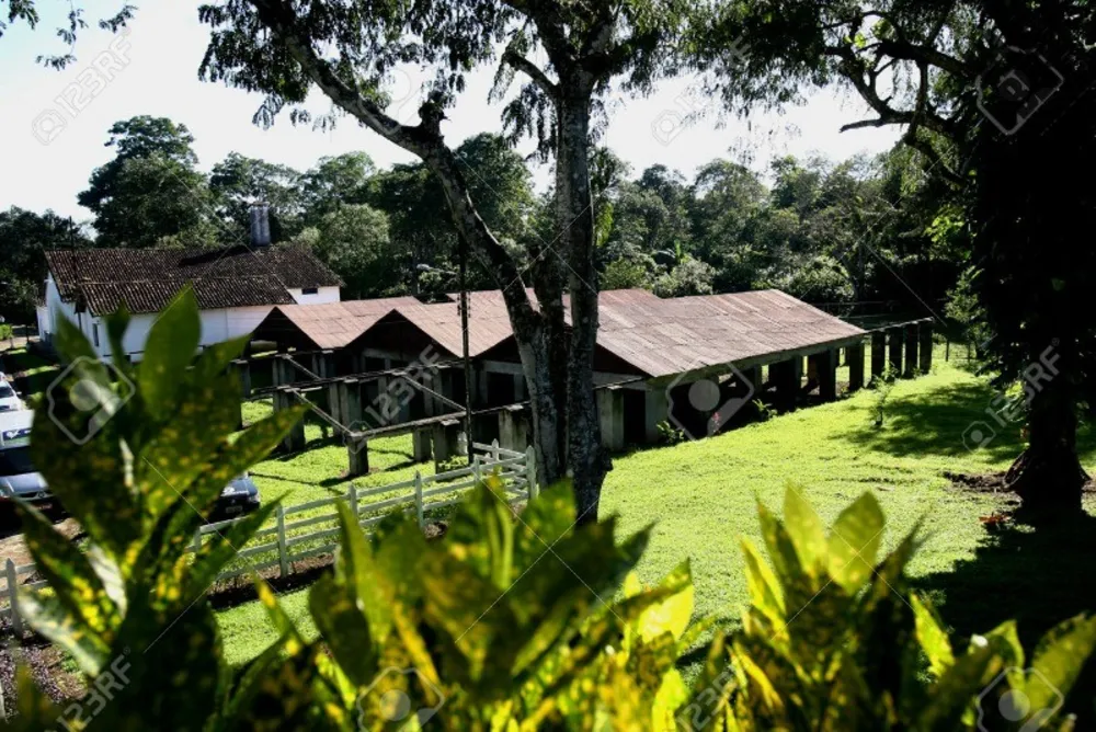 Fazenda, 245 m² - Foto 7