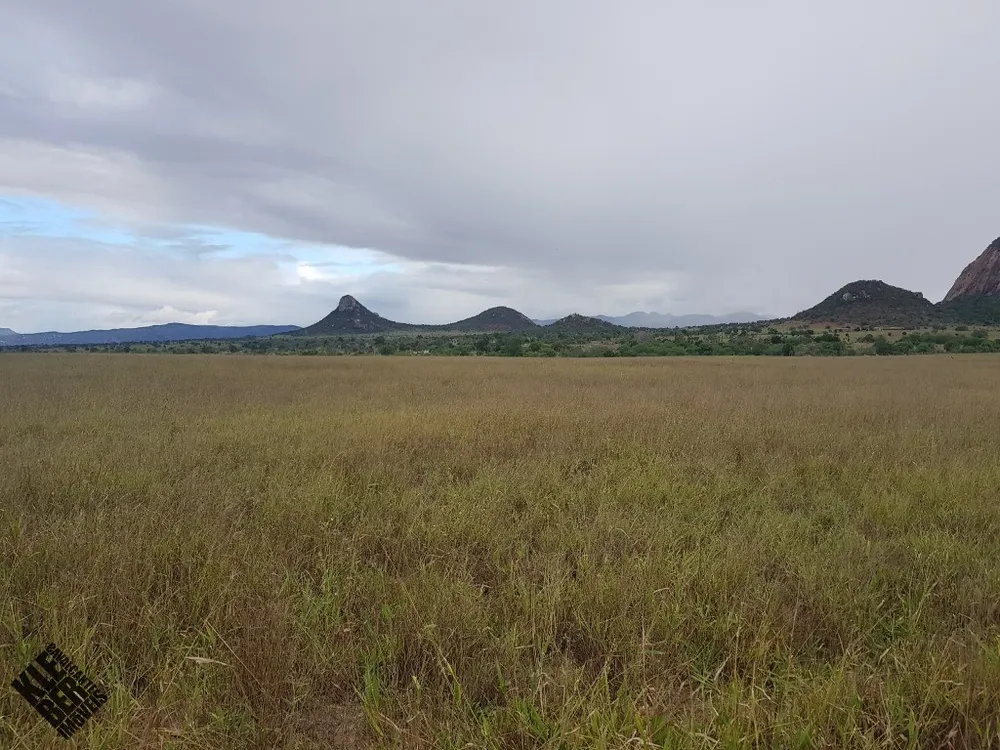 Fazenda, 2 hectares - Foto 3