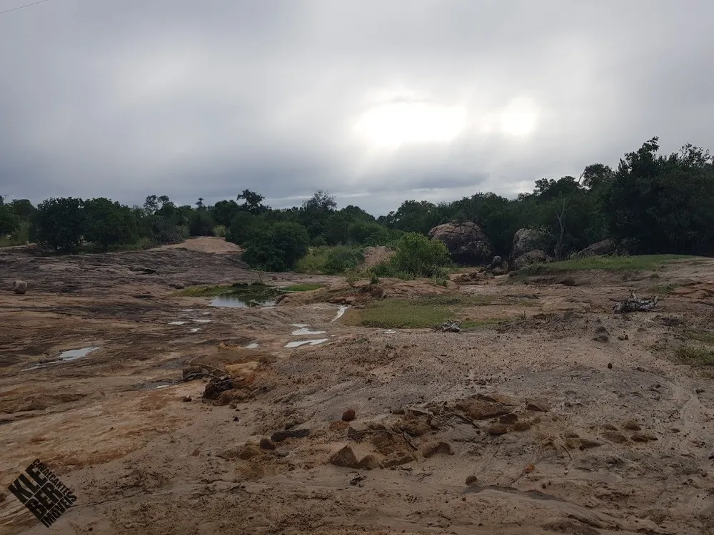 Fazenda, 2 hectares - Foto 10