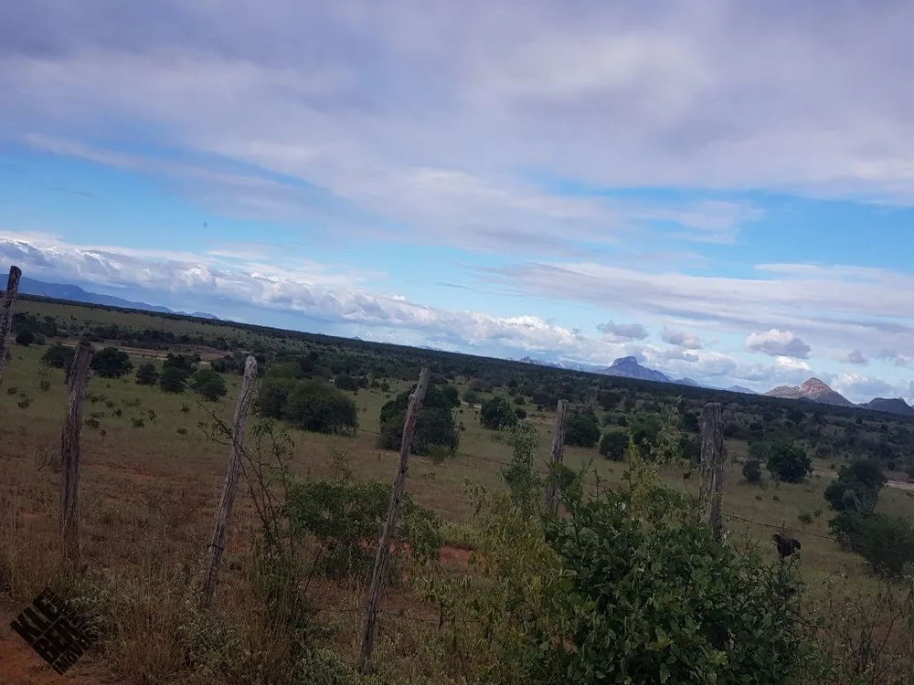 Fazenda, 2 hectares - Foto 7