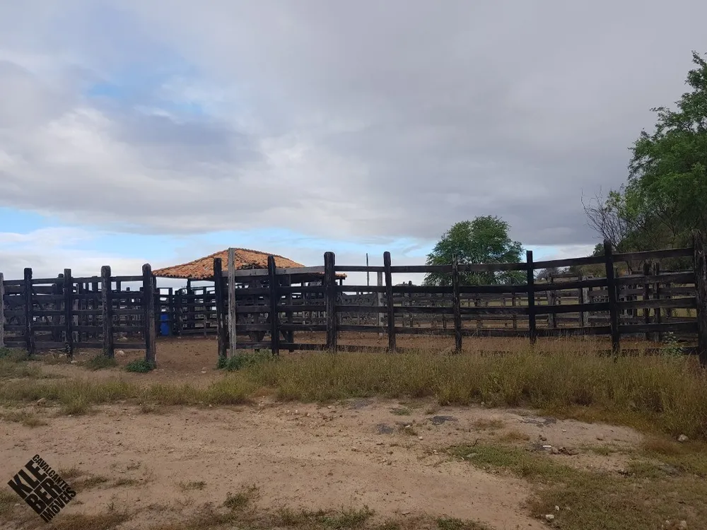 Fazenda, 2 hectares - Foto 6