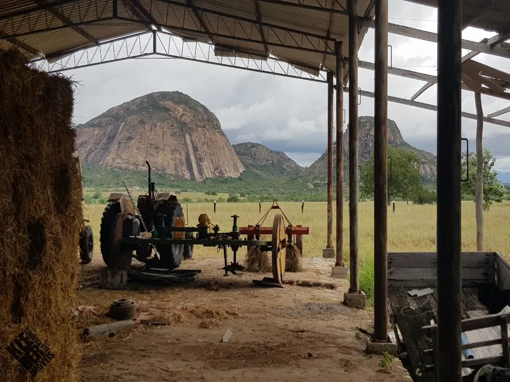 Fazenda, 2 hectares - Foto 2