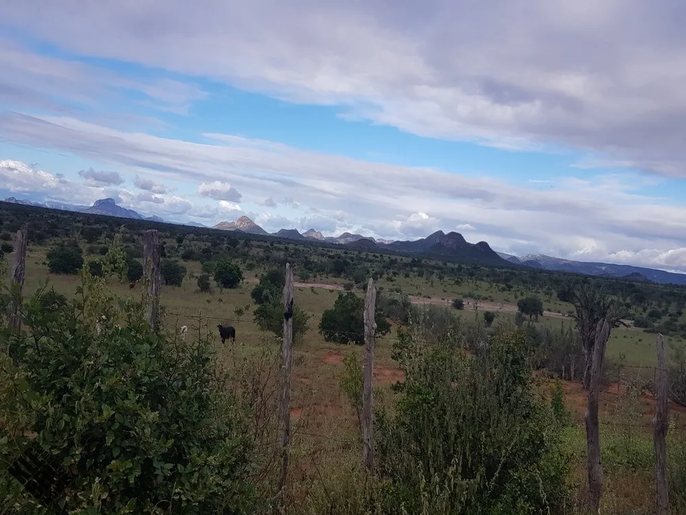 Fazenda, 2 hectares - Foto 8