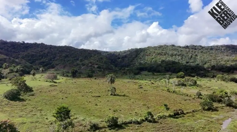 Fazenda, 8 quartos - Foto 5