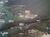 Terreno, 6000 m² - Foto 2