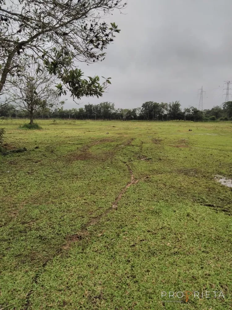 Terreno, 9289 m² - Foto 10