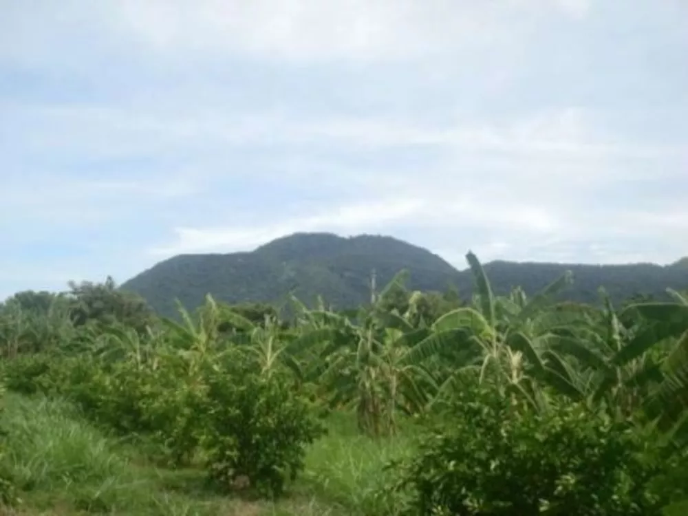 Terreno à venda, 48400 - Foto 3