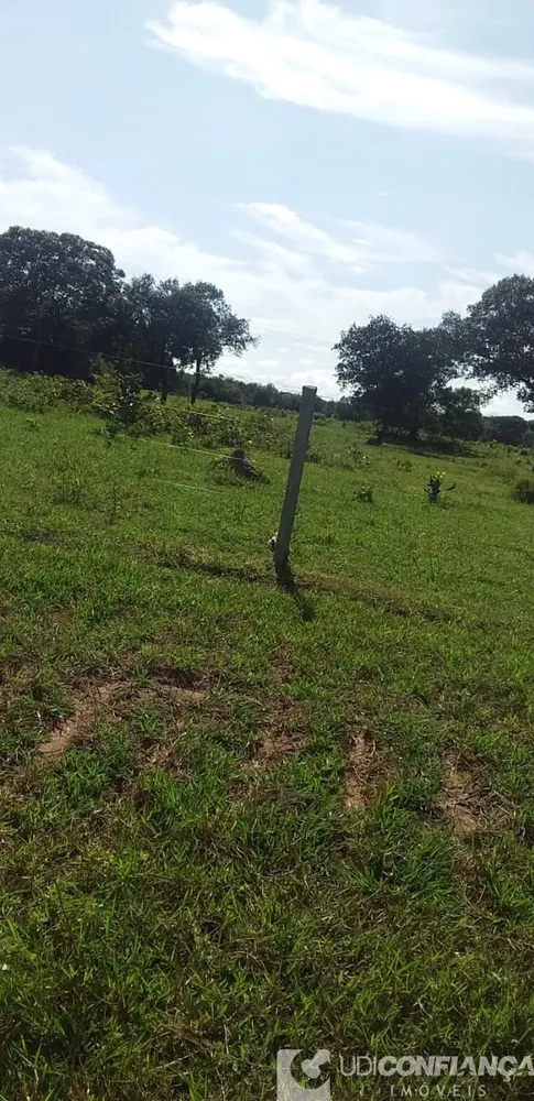 Fazenda - Foto 11