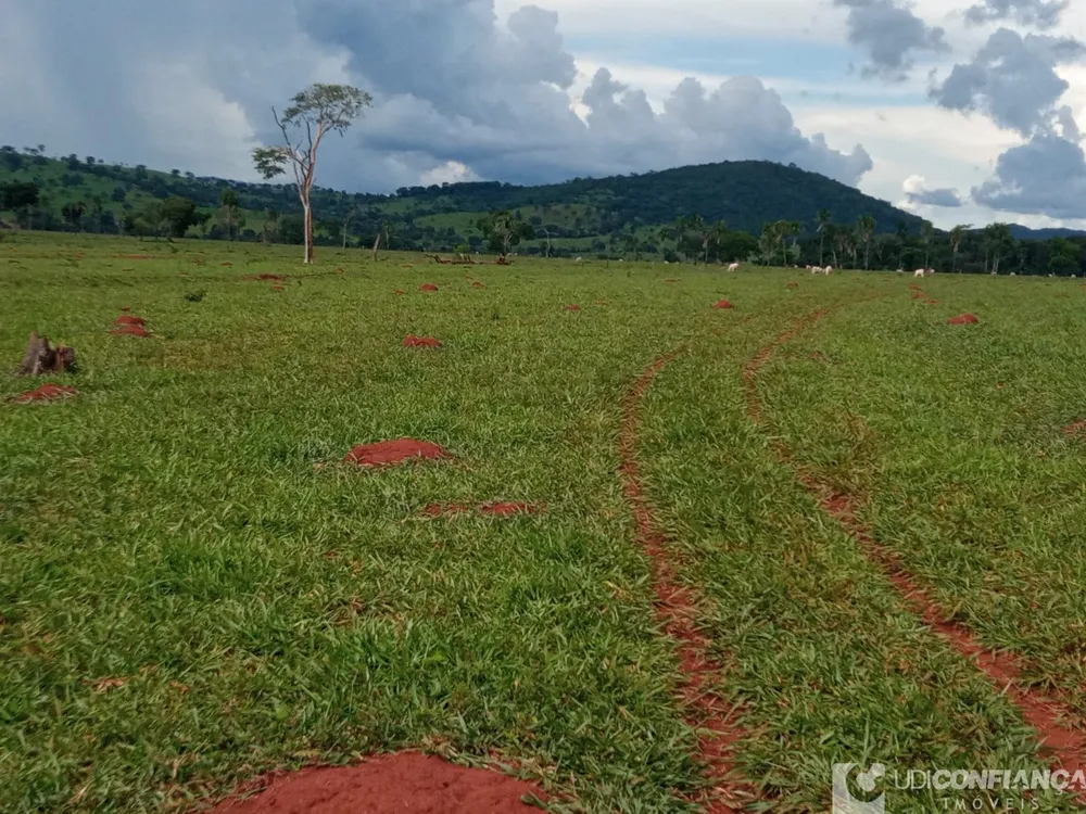 Fazenda - Foto 3