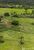 Fazenda - Foto 1