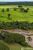 Fazenda - Foto 4