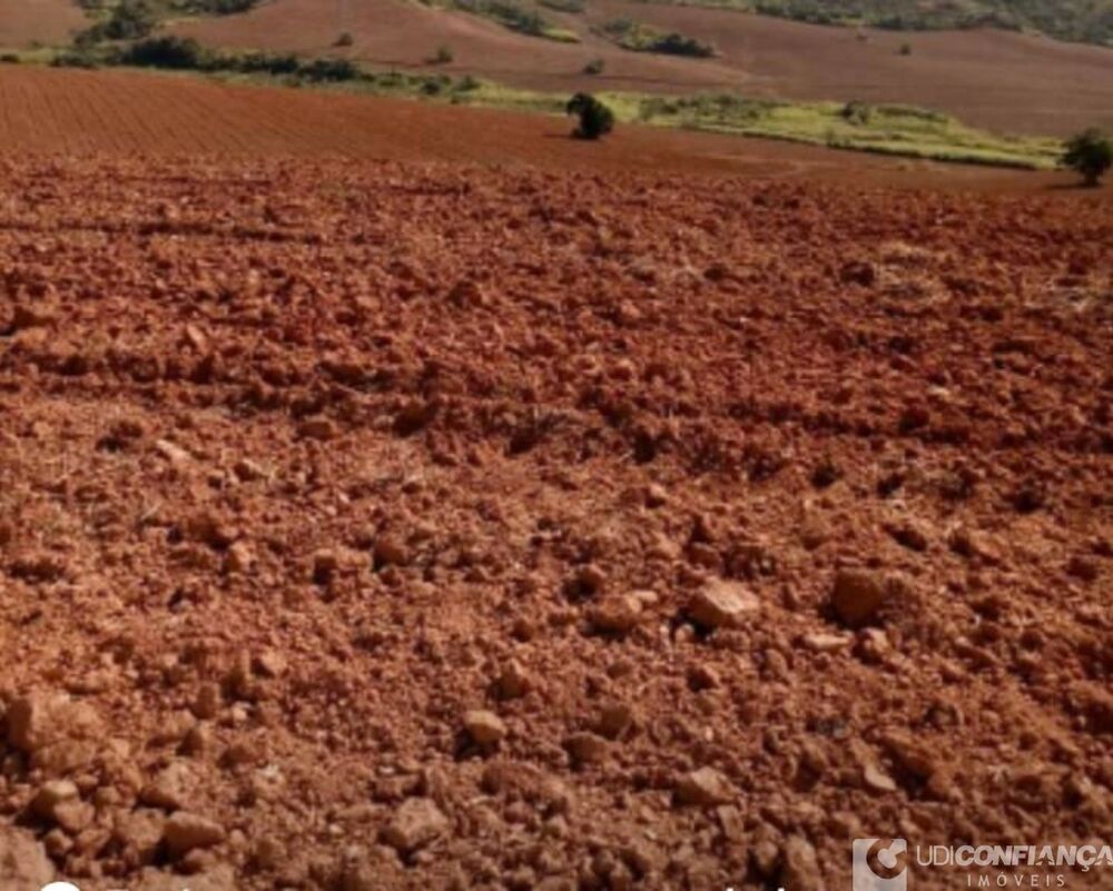 Fazenda à venda - Foto 4