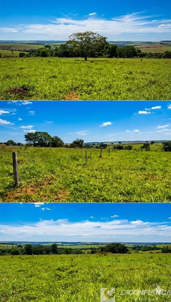Sítio - Foto 6