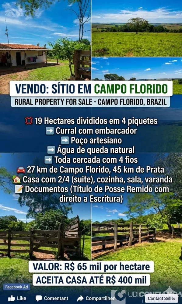 Sítio - Foto 1