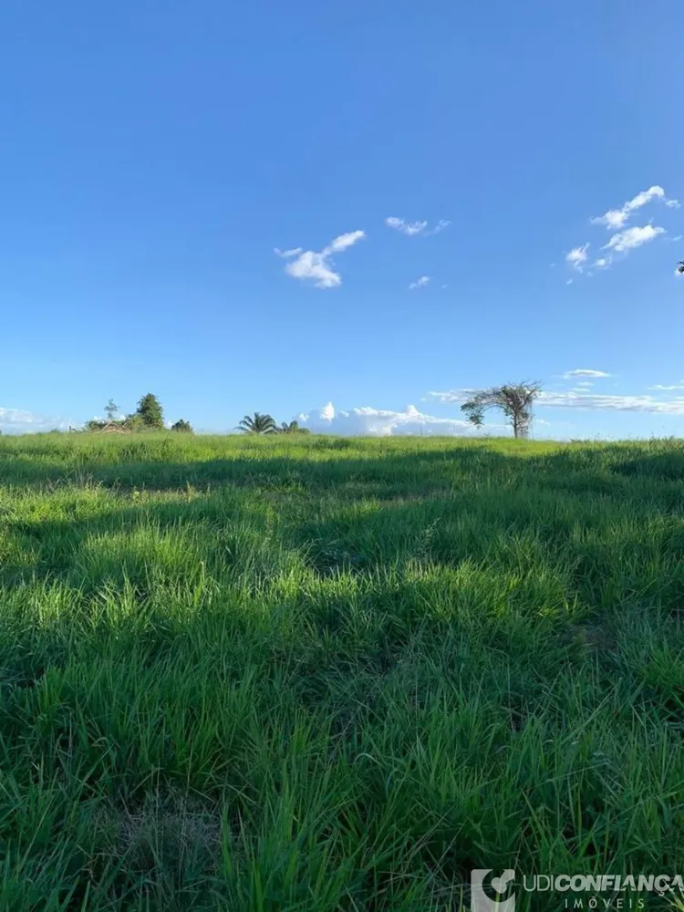 Fazenda - Foto 9