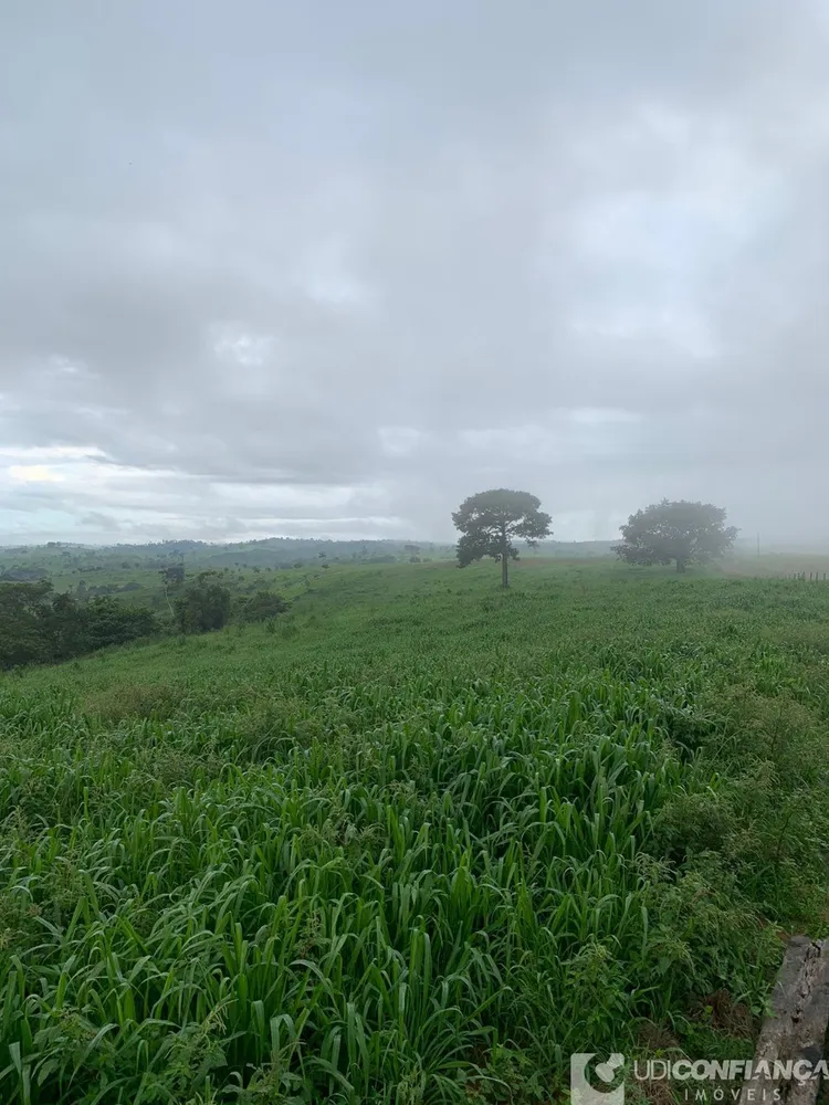 Fazenda - Foto 2