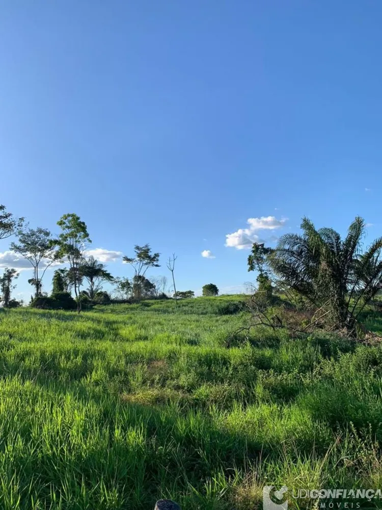 Fazenda - Foto 4