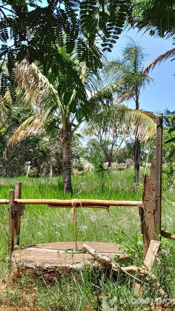 Fazenda - Foto 4
