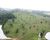 Fazenda - Foto 1