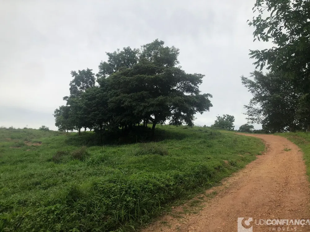 Fazenda - Foto 1