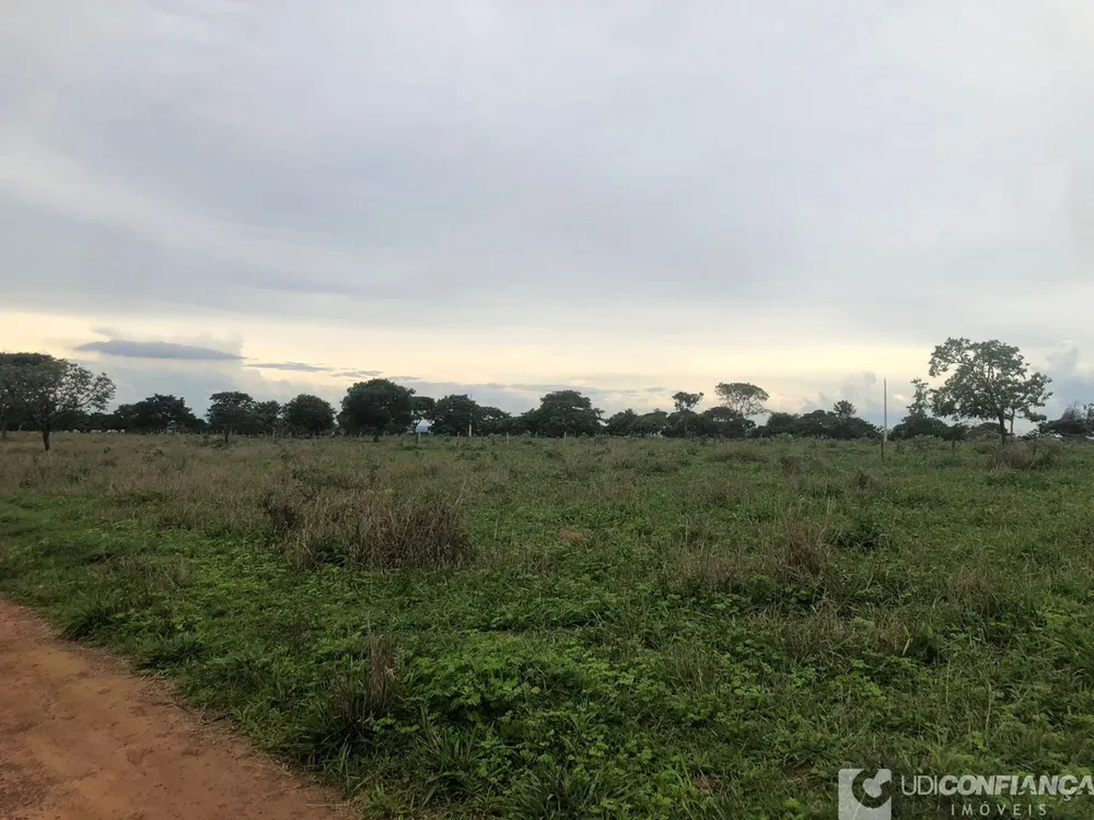 Fazenda - Foto 4