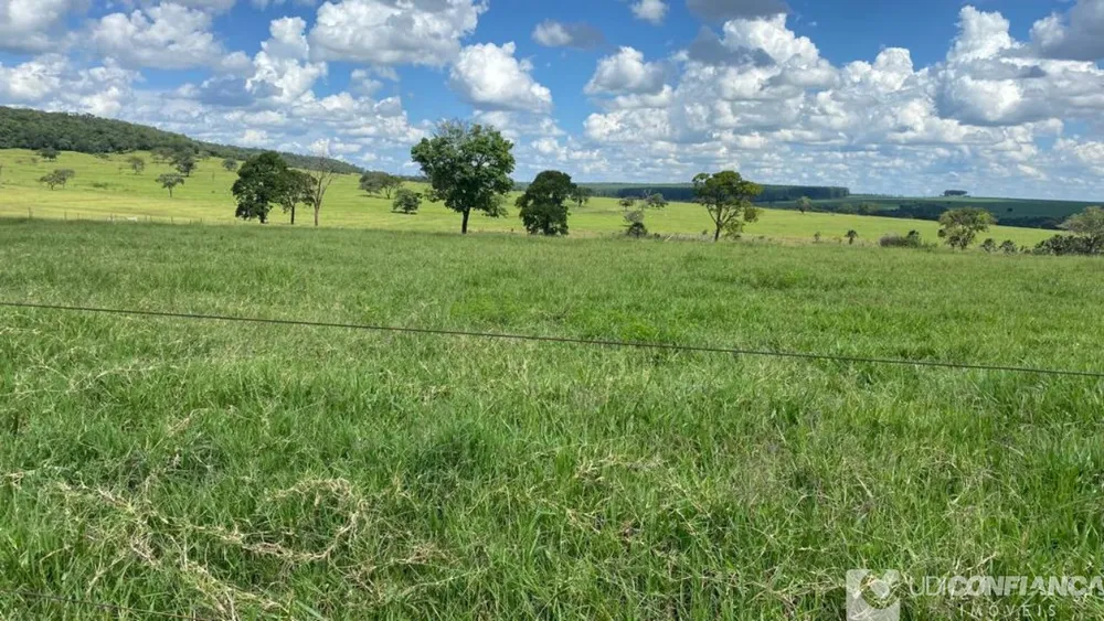 Fazenda - Foto 12