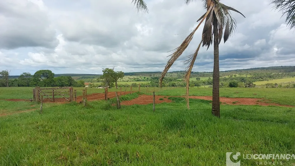 Fazenda - Foto 7