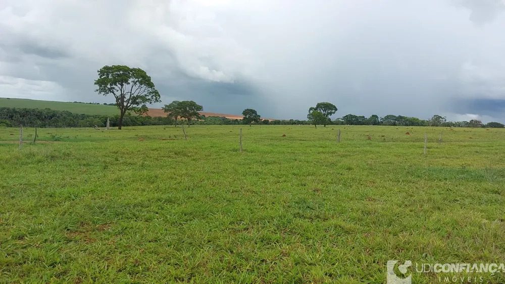Fazenda - Foto 1