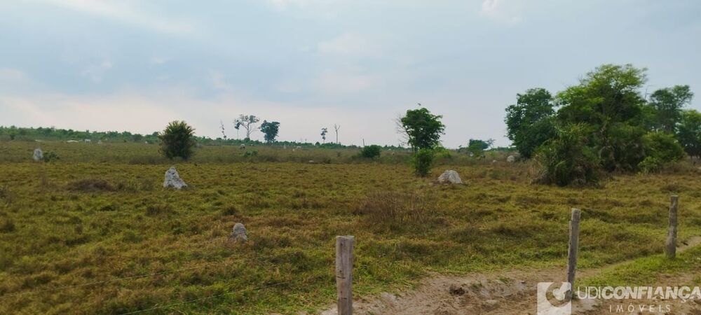 Fazenda à venda - Foto 4
