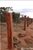 Fazenda - Foto 3
