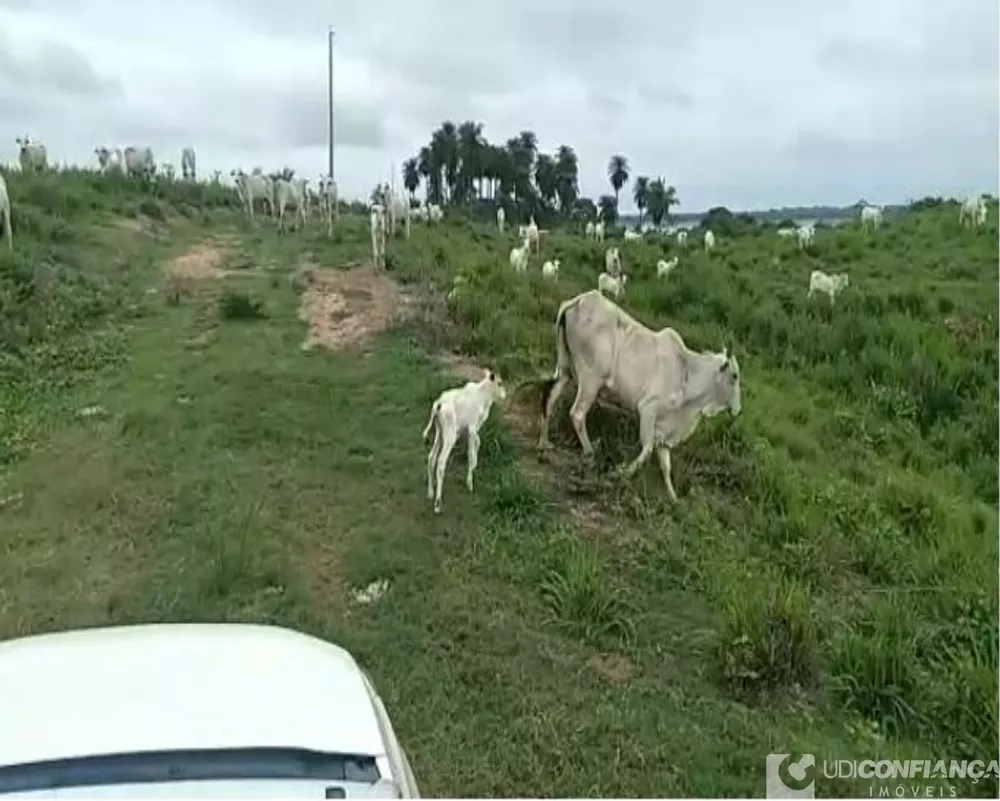 Fazenda à venda - Foto 2