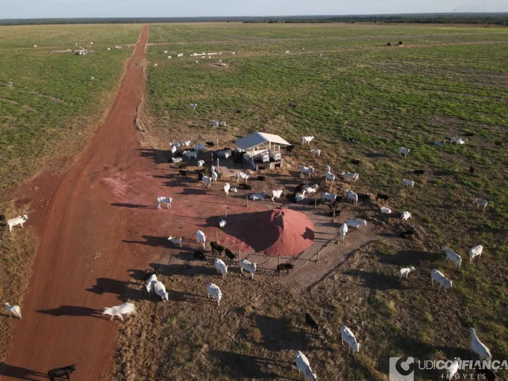 Fazenda - Foto 2