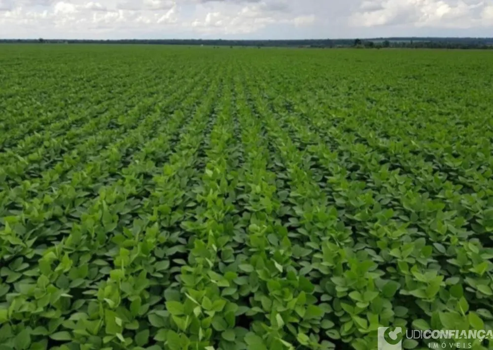Fazenda - Foto 5