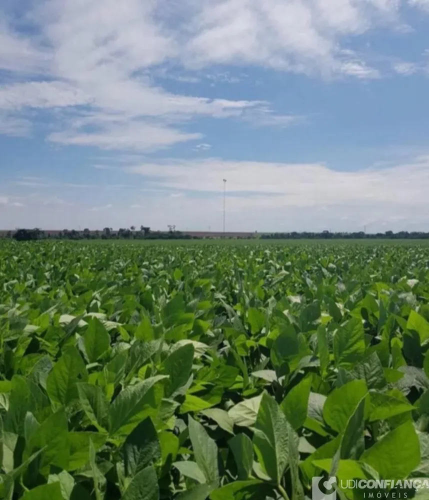 Fazenda - Foto 2