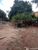 Fazenda - Foto 1