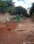 Fazenda - Foto 4